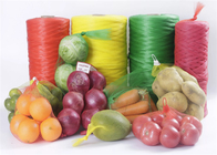 1kg plastic Netto de Koker van het de Groenteei van het Zakfruit Verpakking