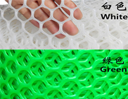 Hexagonale gaten HDPE groen plastic tuinmaas voor gebruik in de bescherming van gras