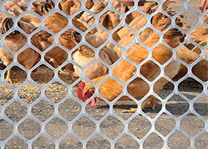 Het Plastic het Gevogelte van de slijtageweerstand beschermen Opleveren voor Kippeneend het Voeden en het Dier