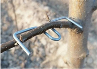 13 cm lengte gegalvaniseerde boomtak drukgereedschap Furit bomen gebruik