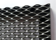 2.5mm dikte uitgebreide diamant mesh metaal hek met schilderen met raam